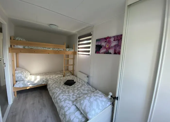 Veluwe Vakanties: Retreat With Private Sauna In National Park Apartment