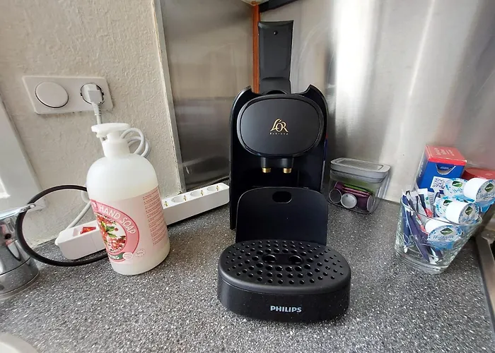 公寓 Veluwe Vakanties With Private Barrel Sauna - With Pool Bar And Restaurant Facilities In The Veluwe National Park 皮滕