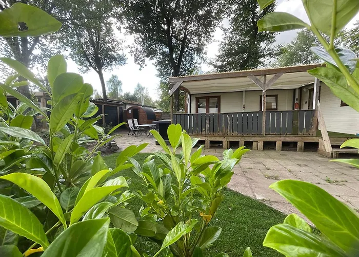 Veluwe Vakanties: Retreat With Private Sauna In National Park Putten